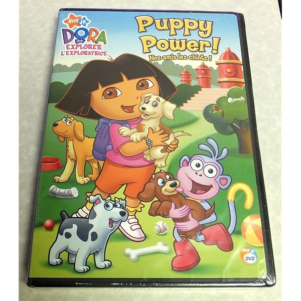 Amazon.com: Dora the Explorer: Celebrate With Dora : Herles